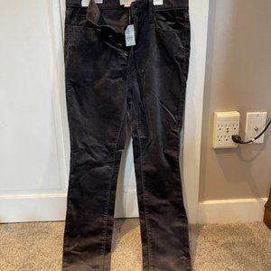 Loft NWT High Rise Skinny Petite size 8 pants